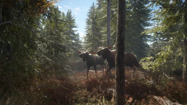 theHunter Call of the Wild Torrent