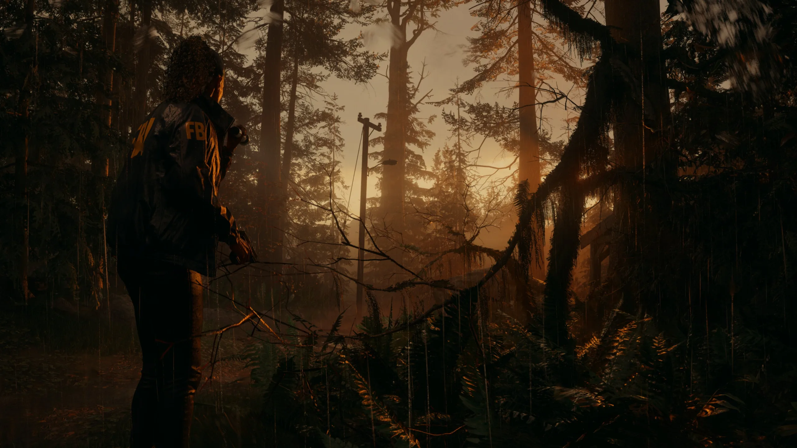 Alan Wake 2 Torrent